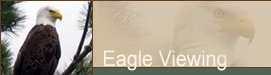 Eagle Watch Tour